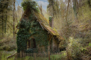 Lire la suite à propos de l’article Sentier Forêt de Ligoure