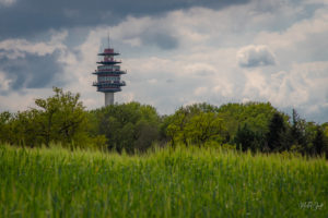 Lire la suite à propos de l’article Boisseuil, le sentier de Gascour