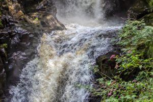 Lire la suite à propos de l’article Gimel-les-cascades